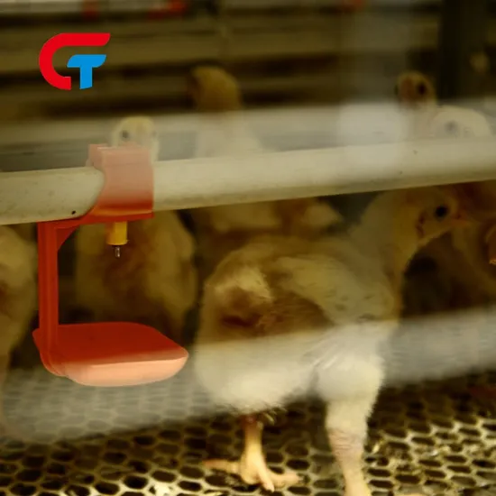Multilayer Poultry Farming Equipment Good Quality Layer Chicken Cage