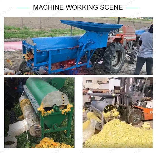 Pumpkin Seed Harvester Watermelon Pumpkin Seed Harvesting Equipment Seed Remover Machine