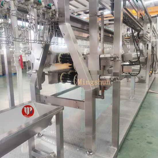 Automatic Chicken Slaughter Line for Poultry Slaughtering Machine with 300bph 500bph 800bph