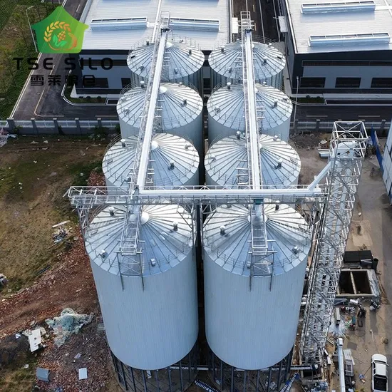 Professional Manufacturer Maize Wheat Paddy Corn Grain Galvanized Steel Silo Prices