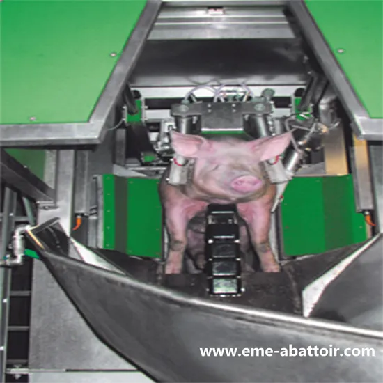 Factory Product Pig Pork Farm Slaughtering Equipment for Meat Processing Machine