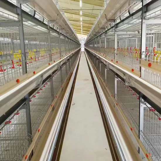 Custom 2-8 Layer Cages Galvanized Steel Wire Poultry Farm Equipment Broiler Chicken Cages