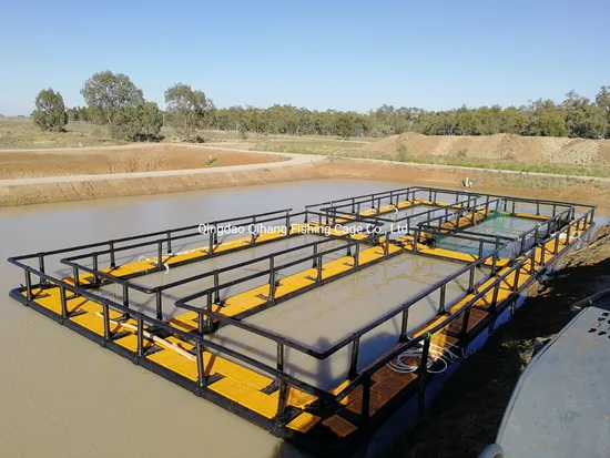 Tilapia Fish Farming Cage for Uganda Market