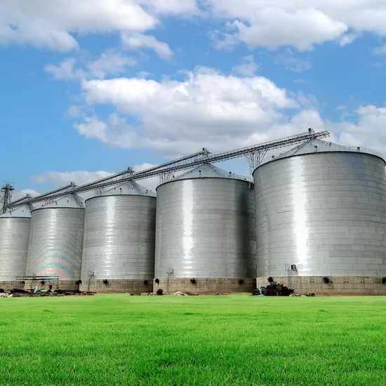 Flat Bottom Silo 500t 1000t 2000t 3000t 5000t Silos with Large Capacity Maize Grain Storage