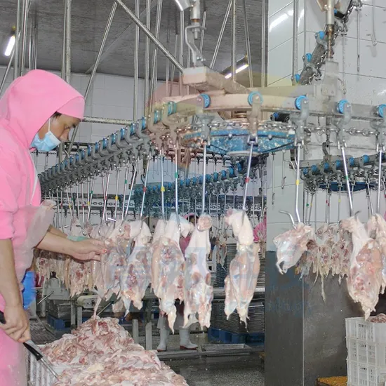 100-13000 Birds Halal Automatic Abattoir Chicken Duck Goose Turkey Plucker Parts Poultry Slaughtering Machine Line