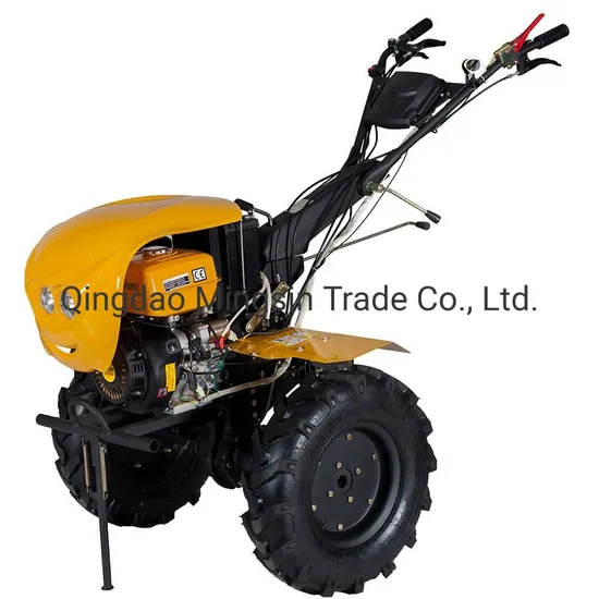 Mini Power Tiller Gt1050d, 6HP Farm Cultivator and Gasoline Tiller