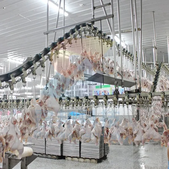 Halal Muslim Automatic Poultry Duck Chicken Quail Scalding Plucker Feather Removing Slaughter Small Slaughterhouse