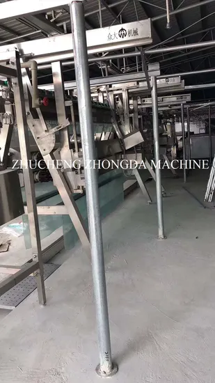 Big Capacity of Duck Slaughter Machine Line -Scalding and Neck and Body Feather Removal Processing