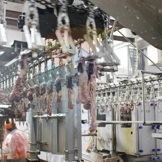 100-13000 Birds Automatic Abattoire Poultry Stainless Steel Halal Chicken Killing Defeathering Plucker Slaughtering Machinery Machine