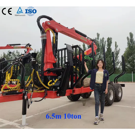 CE Fiewood Hauler Cargo Log Forwarding Grab Multilander Logging Trailer Tandem Forestry Wood Hydraulic 3 Point Log Grapple Timber Trailer Log Loader for Tractor