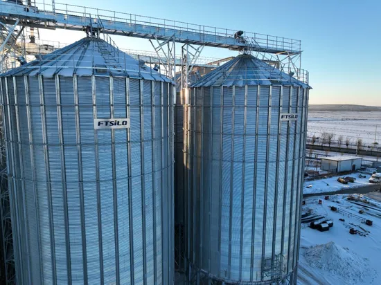 Professional Manufacturer The Top Selling Wheat Corn Grain Silos