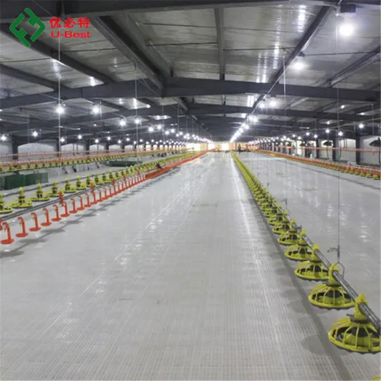 Cheap Pirce Broiler Floor Raising Chicken Farming/Farm Feeding System Automatic Poultry Machine/Equipment