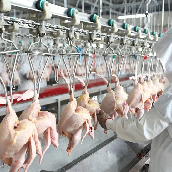 300-2000bph Poultry Processing Plant