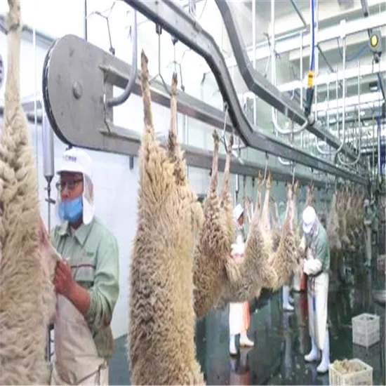 Professional Manufacturer of Sheep Slaughtering Equipment with Daily Slaughtering Capacity of 100-3000 Sheep