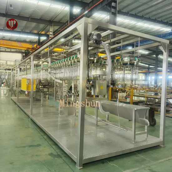 Complete Chicken Duck Poultry Slaughter Equipment with Stainless Steel Features