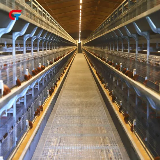 Aumotic New Technology Battery Layer Chicken Animal Cage
