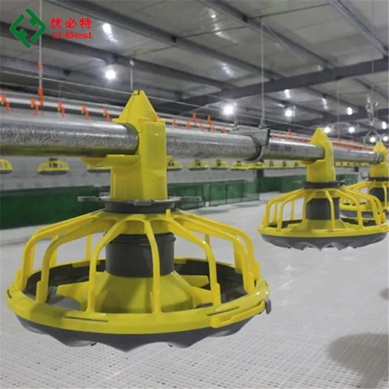 Full Automatic Chicken House Poultry Farm Feeding Equipment for Broiler