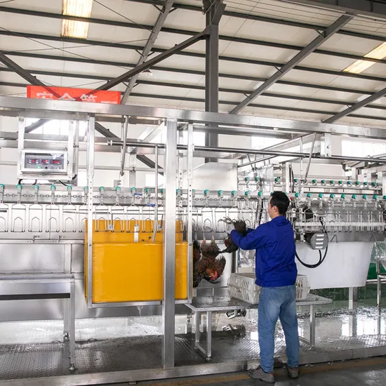 Qingdao Raniche Machine China Compact Chicken Slaughtering Slaughter Line