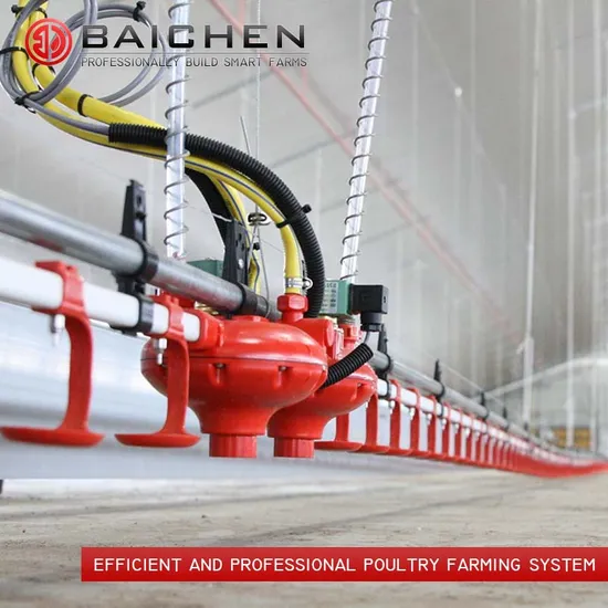Chicken Feeder System Broiler Raising Equipment for Poultry House