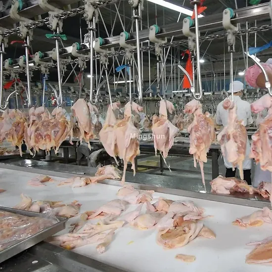 Innovative Full Automatic Chicken Slaughter Line for Goose and Chicken Slaughter