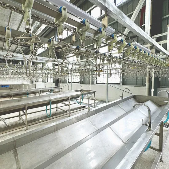 Chicken Slaughtering Equipment Halal Compact Simple Small Chicken Slaughter Line