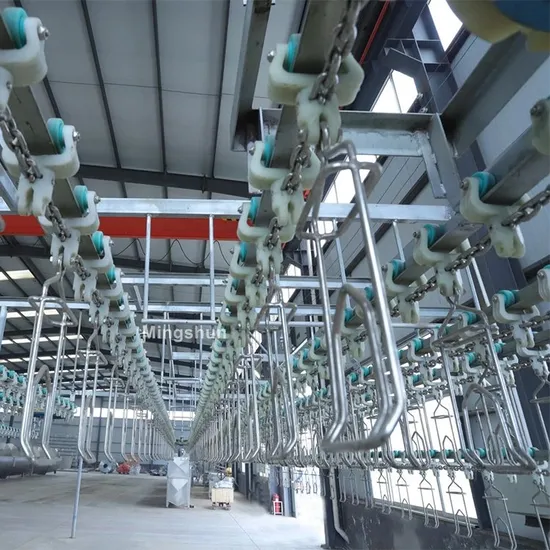 Poultry Processing Chicken Slaughter Line - Stainless Steel 304 Construction
