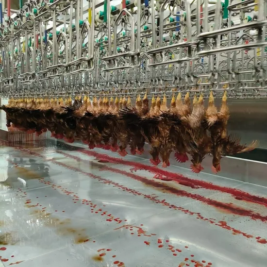 Efficient Chicken Processing Line for Modern Poultry Operations