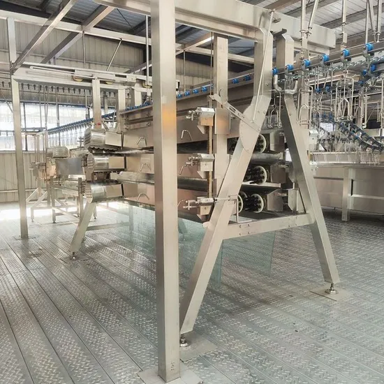Automatic Abattoir Slaughterhouse Equipment Dust-Proof Design Customizable Chicken Slaughter Line for Poultry