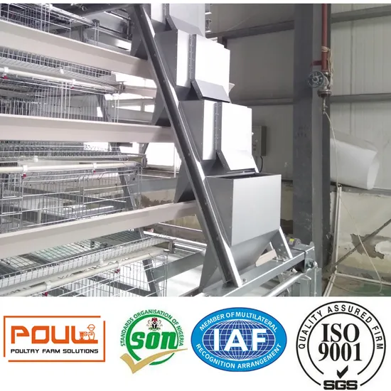 Poultech Ladder Type Layer Chicken Cage for Poultry Farms