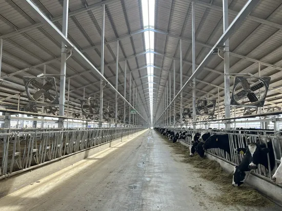 Farm Ventilation Fans with Corrosion Resistance and a Service Life of More Than 10 Years