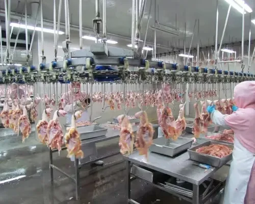 Equipment Poultry Chicken Duck Goose Poultry Slaughter Line for Farm Home Use Sale