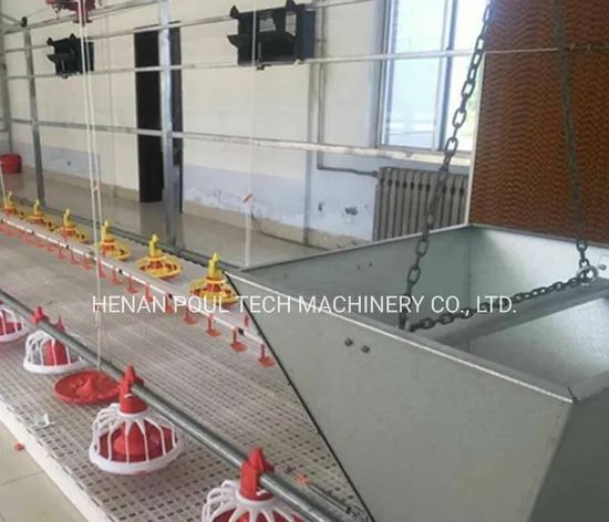 Deep Litter Broiler Farm Feeding and Drinking System