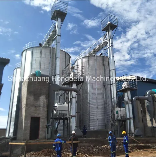 Galvanized Silo 500ton 1000ton 2000ton Steel Hopper Bottom Silo Flat