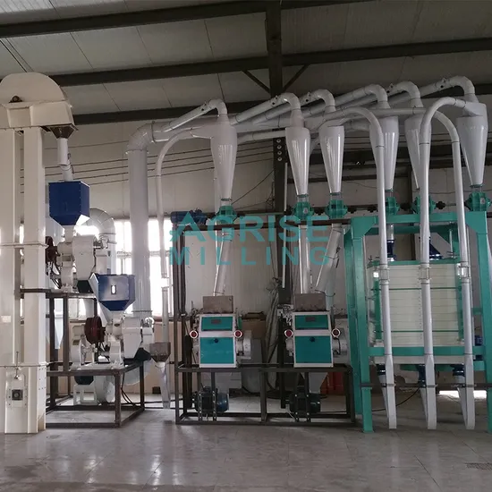 100 Tpd Maize Flour Mill Plant for High Efficiency and Flexibility