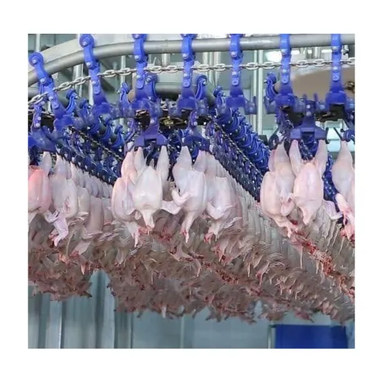 Mingshun Poultry Slaughtering Equipment - Reliable Slaughter Machine in China