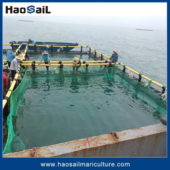 HDPE Rectangular Enhanced Fish Farming Cages