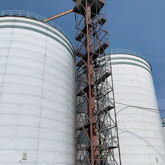 Whole Set Low Price Rice Wheat Feed Hopper Bottom Steel Silo with Conveyor