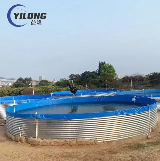 Ras System Protein Skimmer Air Pump Fish Farm Containers