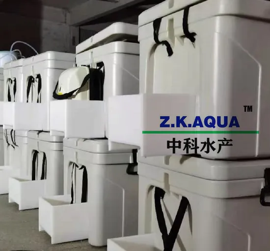 Shrimp Live Fish Transport Contatiner Tank