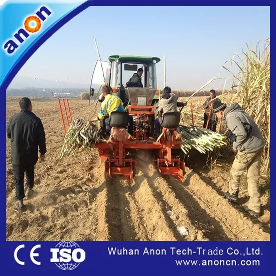 Anon 2023 Hot Sale New Fertilizing and Planting Sugarcane Planter Machine