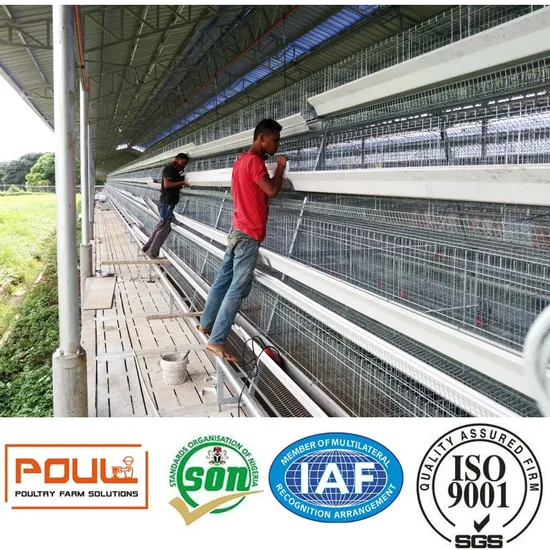 Galvanized Poultry Layer Cage Facility