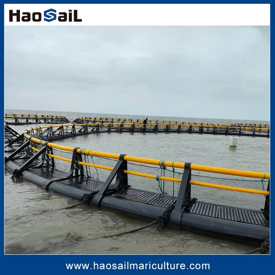Deep Sea Anti-Wave HDPE Circular Tuna/Salmon/Croaker/Round/Square/Truss Type Fish Farming Pens Cages