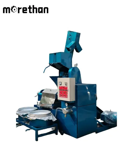 Stainless Steel Small Screw Press Automatic Commercial Oil Mill Peanut Rapeseed Oil Squeeze Filter All-in-One Oil Presser Oil Expeller