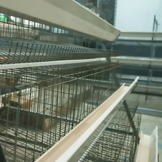 Hot-DIP Galvanized Poultry Farming 4-Layer Type a Egg Chicken Cage with Automatic Manure Removal System