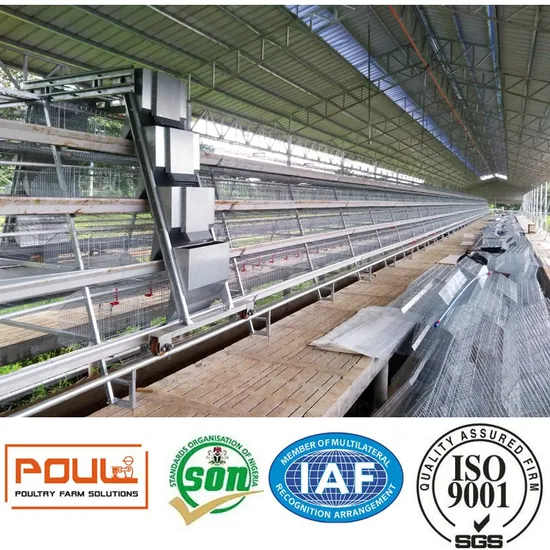 Galvanized Layer Cages