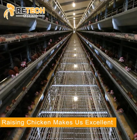 Hot-DIP Galvanized H Type Chicken Laying Hen Cage Equipment for Chicken Farm