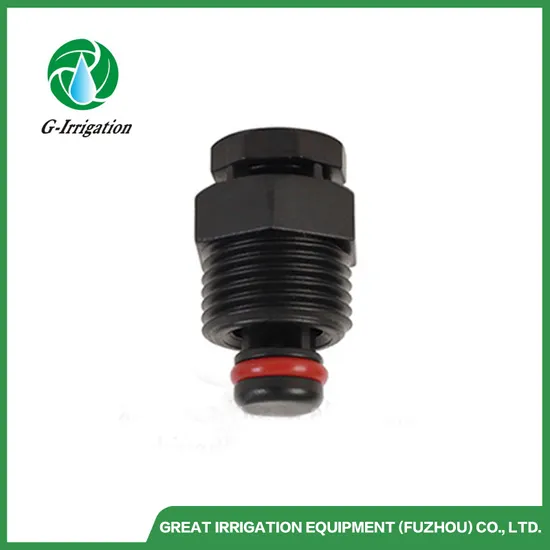 Wholesale Hose Tool Drip System Air Release Valve Dual Acting Pressure Valve