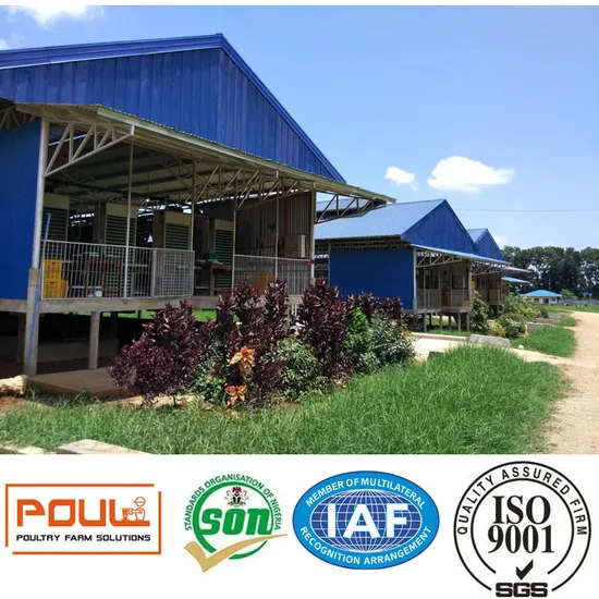 Galvanized Poultry Farm Chicken Cage