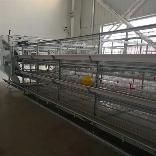 China Poultry Farm Chicken Cage Factory Automatic Hot-DIP Galvanized Steel Poultry Equipment Chicken Cage