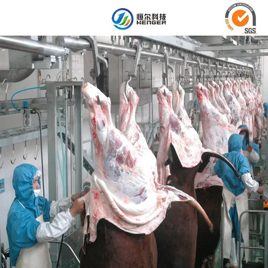 Cattle Slaughterhouse Sheep/Cow Abattoir Slaughter Machine Meat Pig/Goat Carcass Slaughtering Equipment